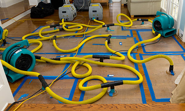 Professional Burst Pipe Water Damage technician working in Lewisville, OH